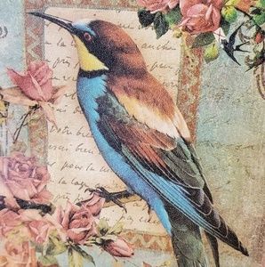 Meet your Posher, Mary-anne